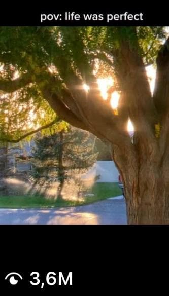 Trending social media post example