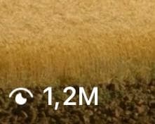 Trending social media post example